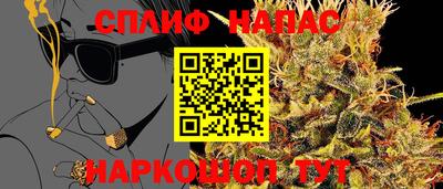 прущие грибы Краснодар